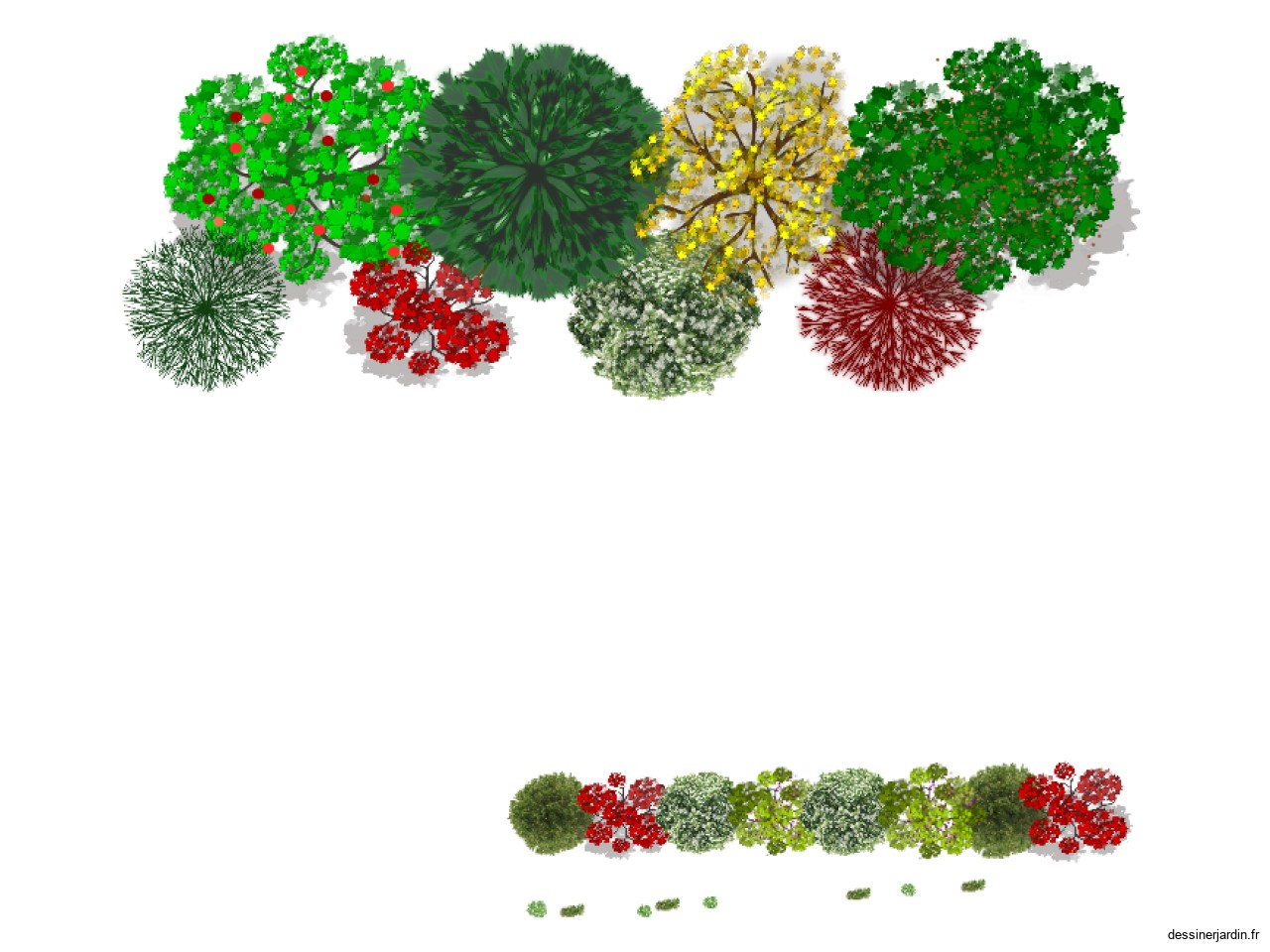 MODULE PLANTATION DRAAF