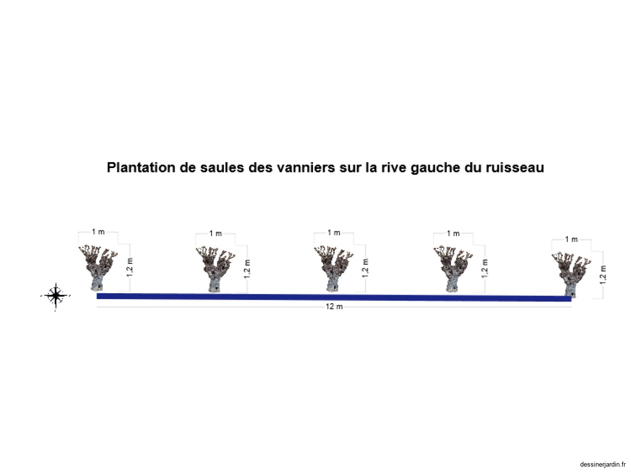 haie de saulesdes vaniers