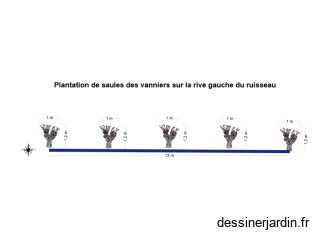 haie de saulesdes vaniers