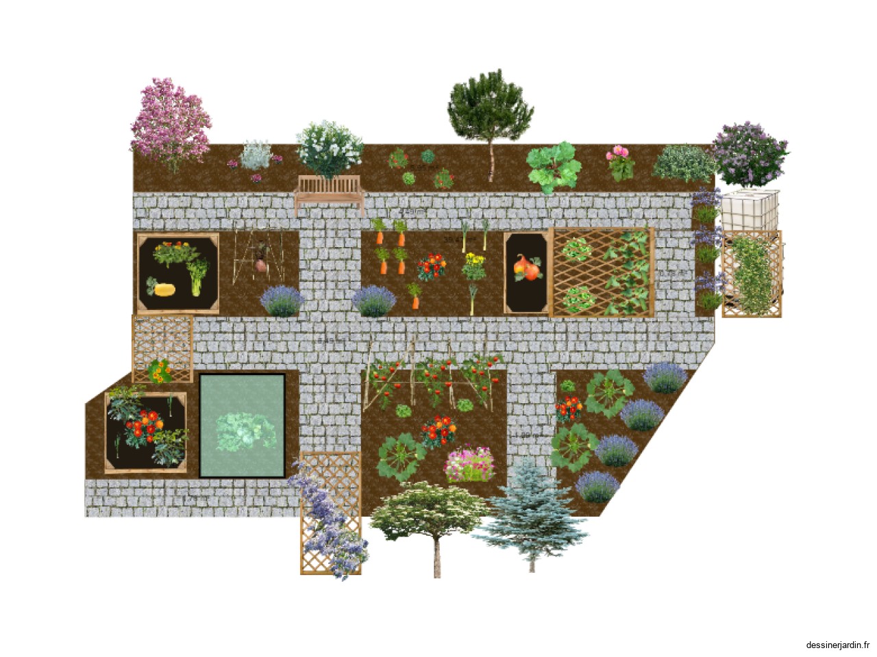 Potager Jardin Carotte