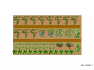 mon potager