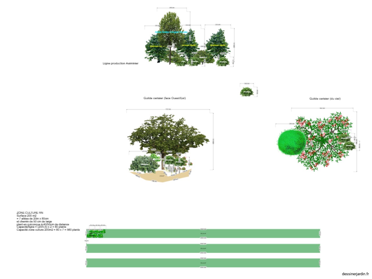Plans 3D lignes et guilde