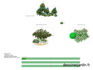 Plans 3D lignes et guilde