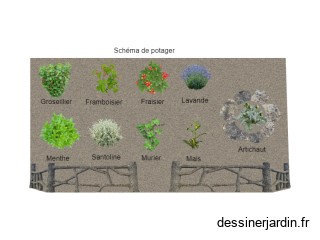 plan cheikh ibtissem