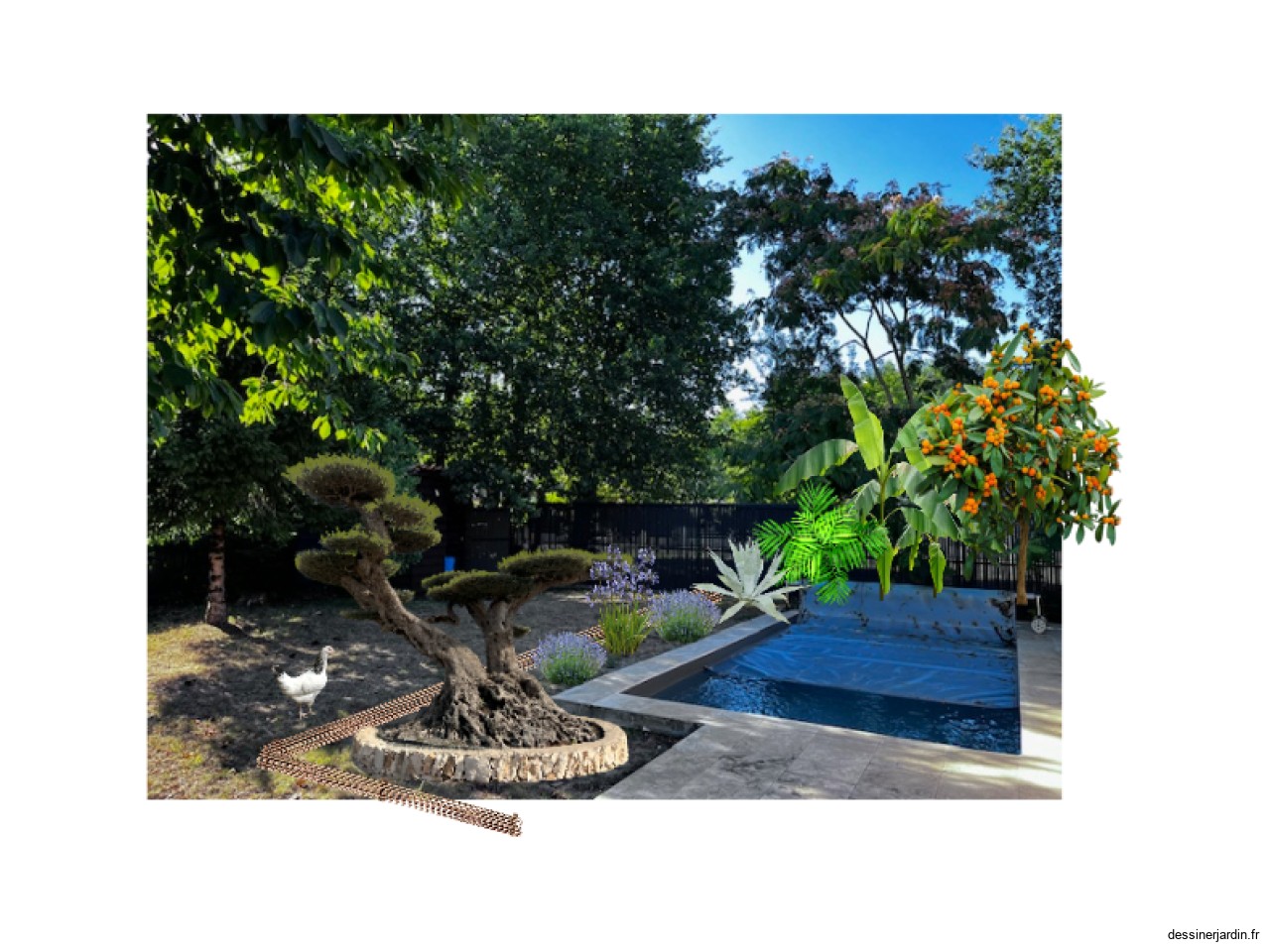 Aménagement piscine