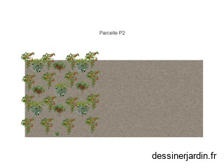 Parcelle 2 Vision