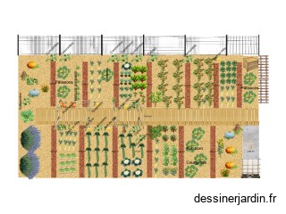 Potager 2025/Eté-Automne