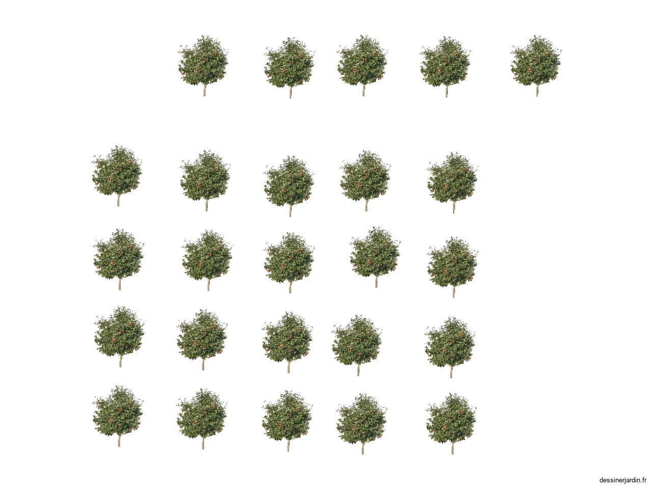 Jardin