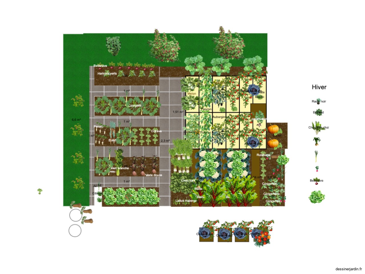 Jardin Phase 1 - Mai