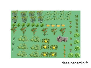 Mon potager