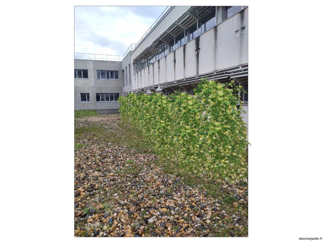 brise-vue