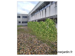 brise-vue
