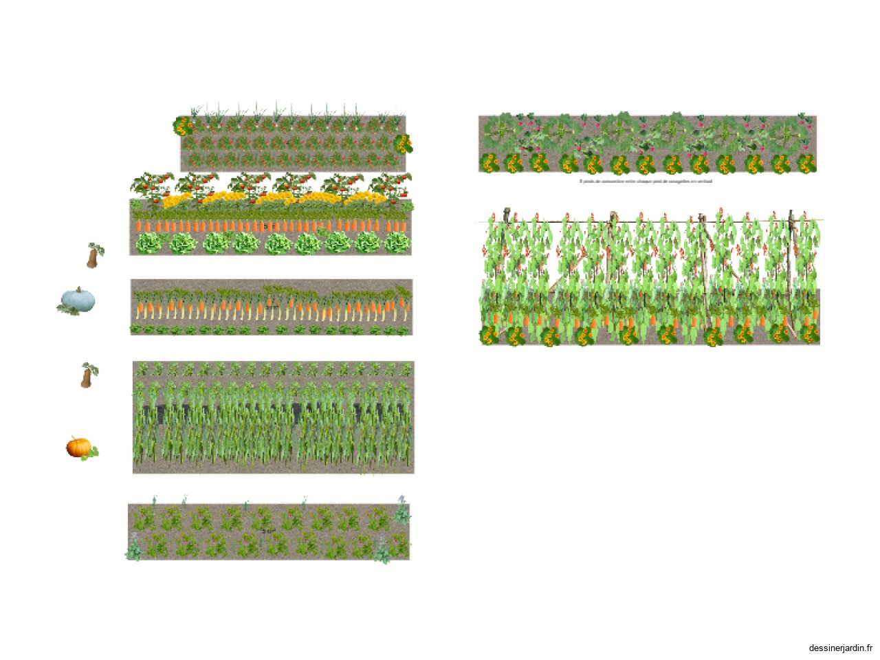 potager 2025