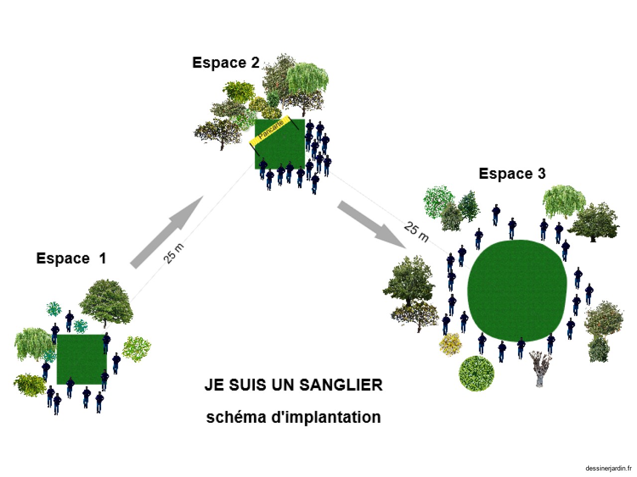 Implantation Sanglier