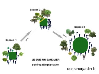Implantation Sanglier