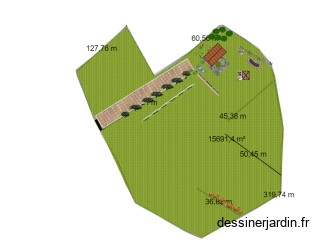 Brassauris Grasse