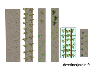 Potager 2025