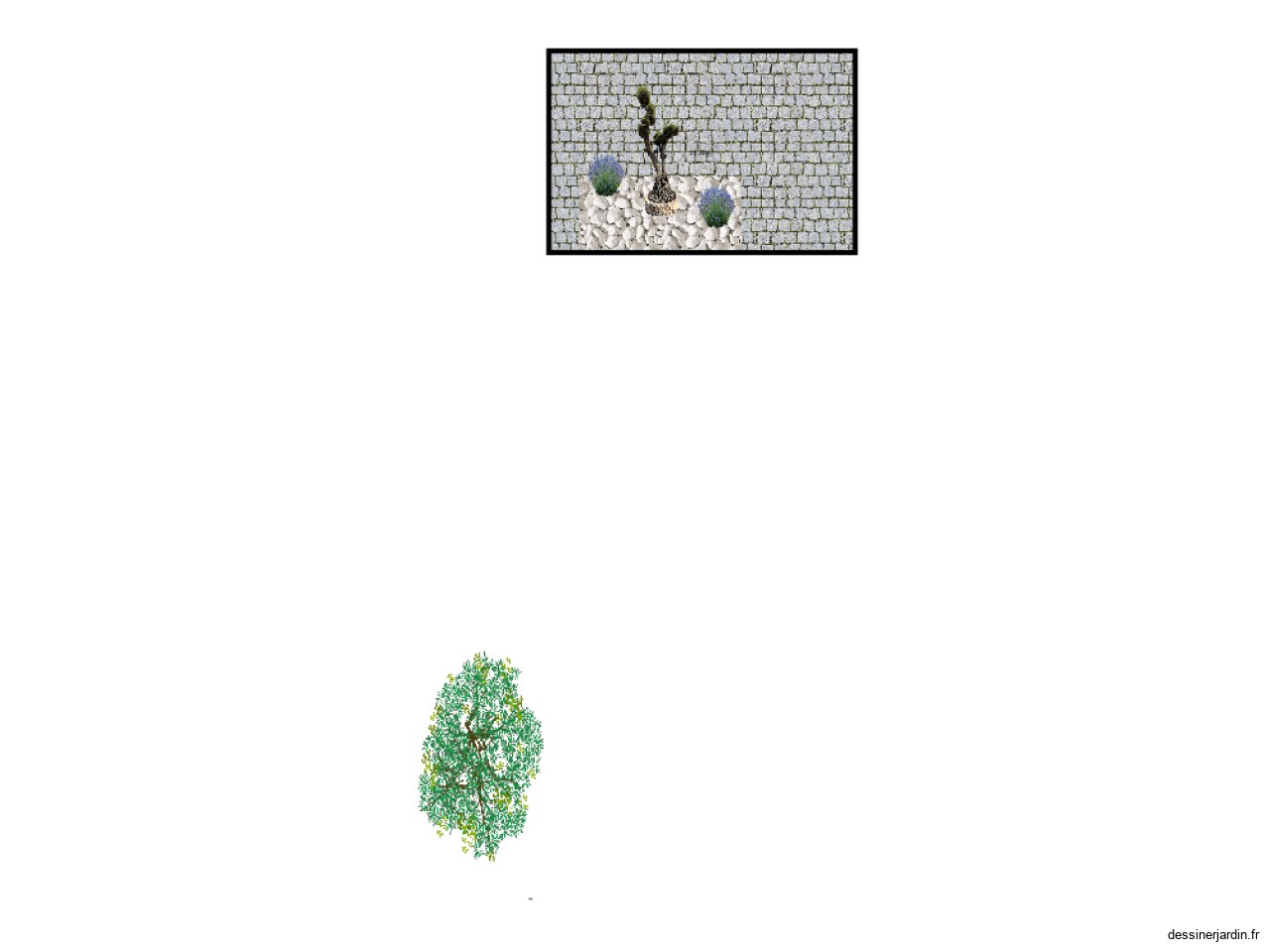 Plan jardin 