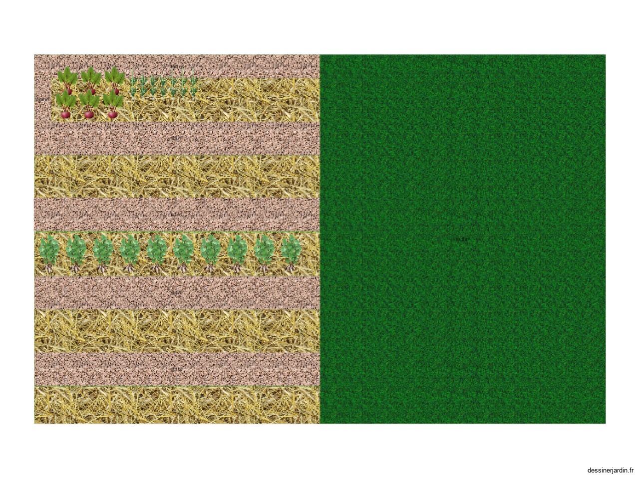 Plan Potager 1er essai