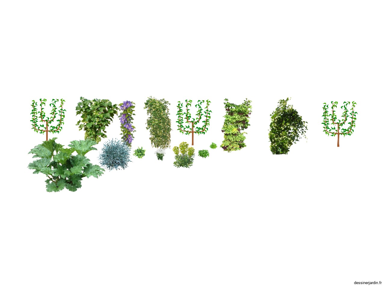 Projet Forest - Mur arrière