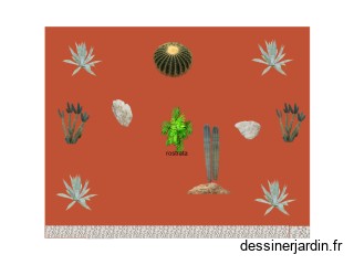 jardin type desert