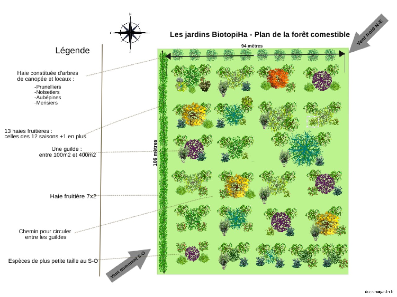 Plan foret comestible vrai