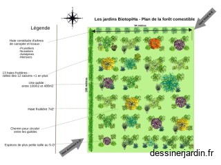 Plan foret comestible vrai