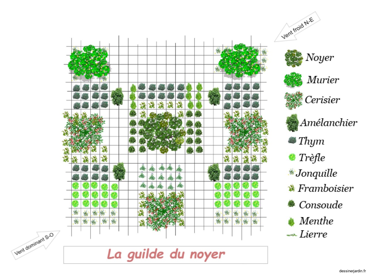 Guilde noyer