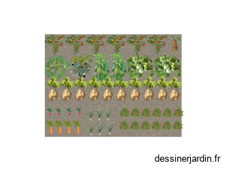 Premier Potager