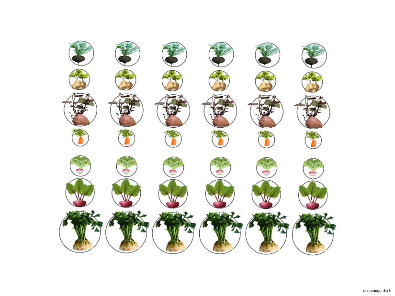 legume fruit 1