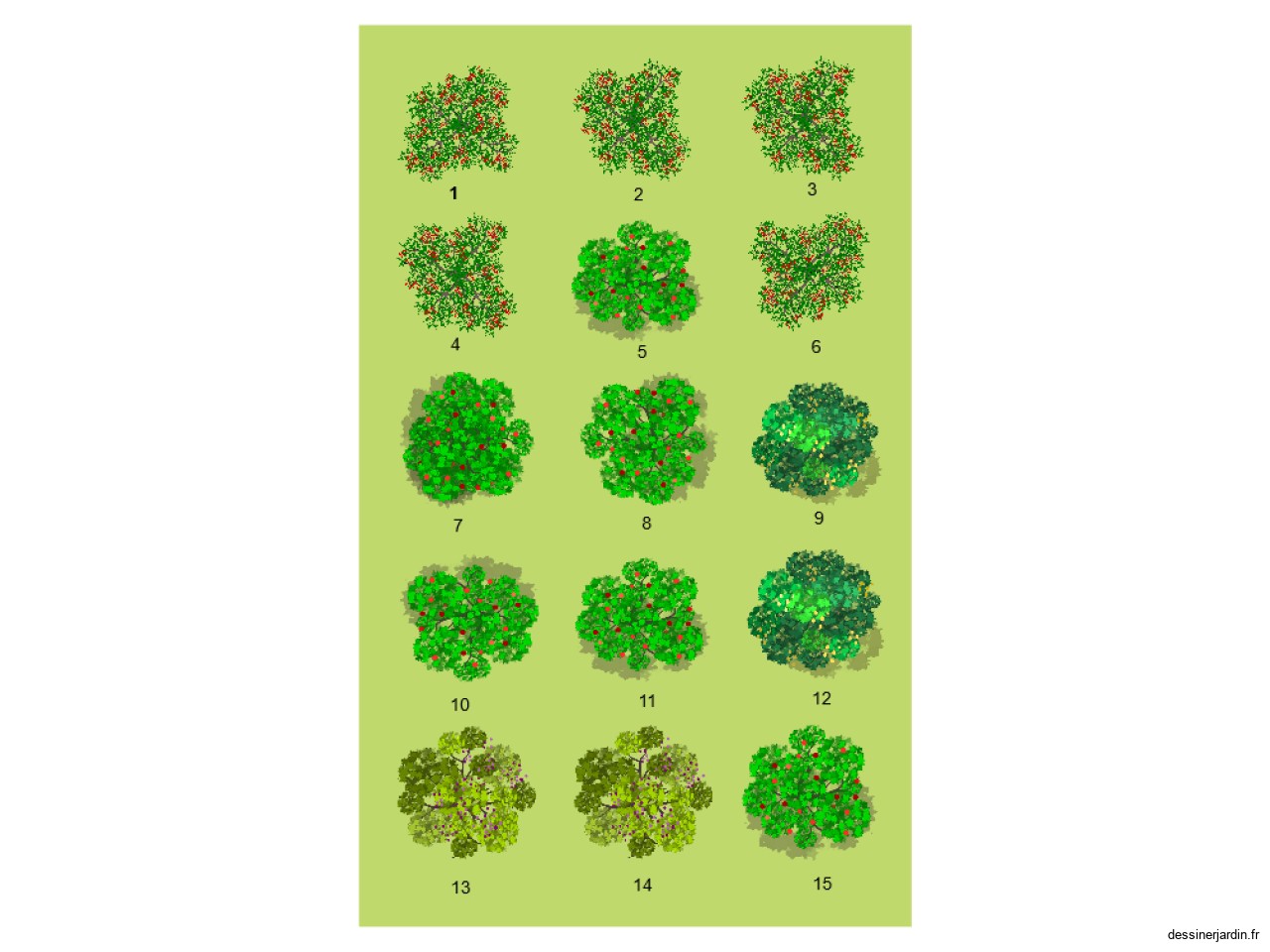 plan du verger