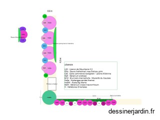Plate-bande végétale n°1