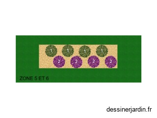 CCF PLANTATION ZONES 5 ET 6