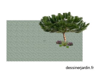 pin parasol