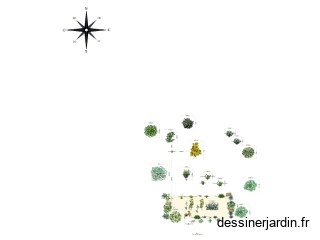 Potager syntropie