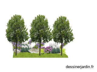 remplacement haie d'abelia au cimetière du bourg sous la roche 
