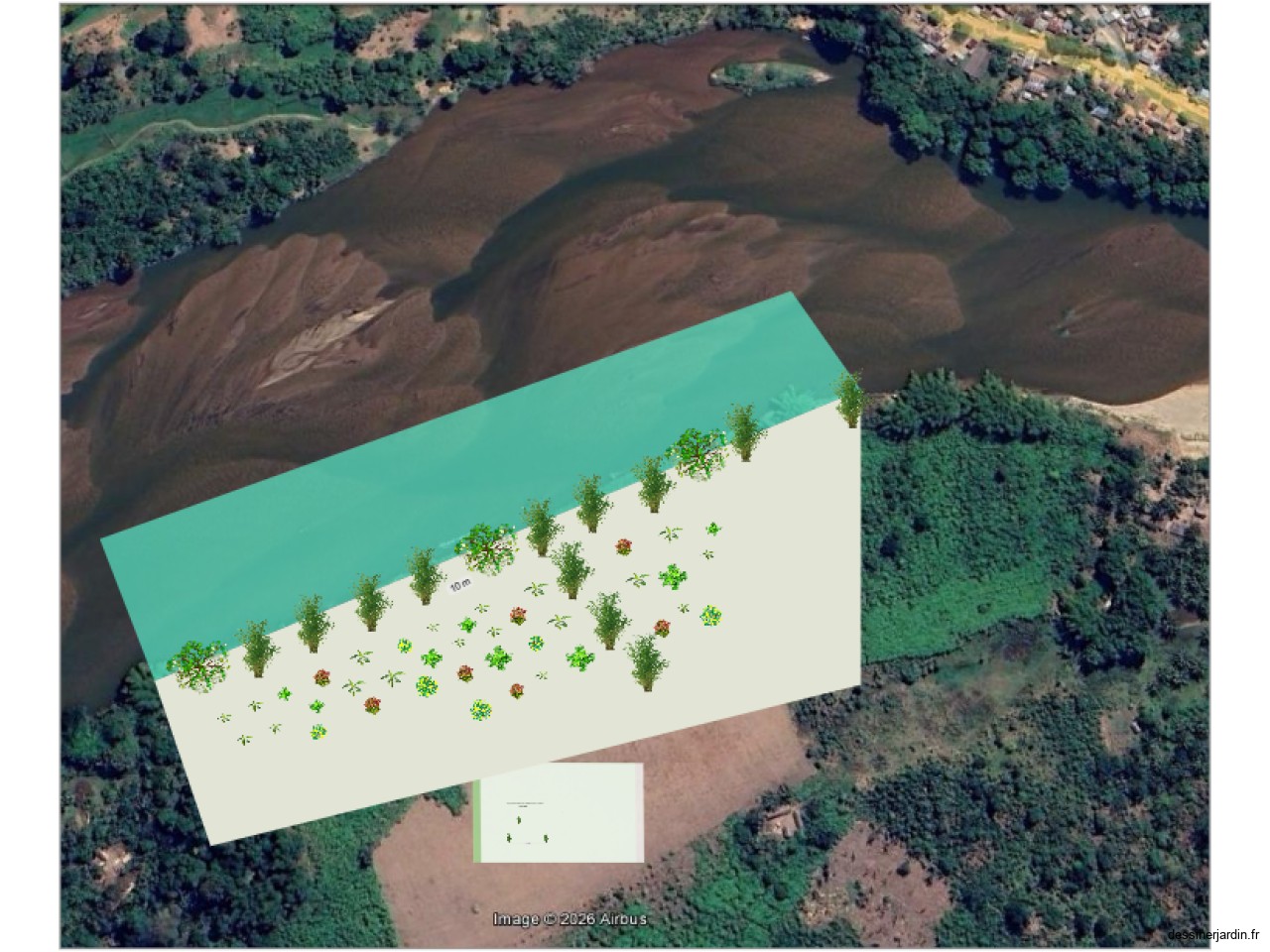 Plantation bambou bord du fleuve