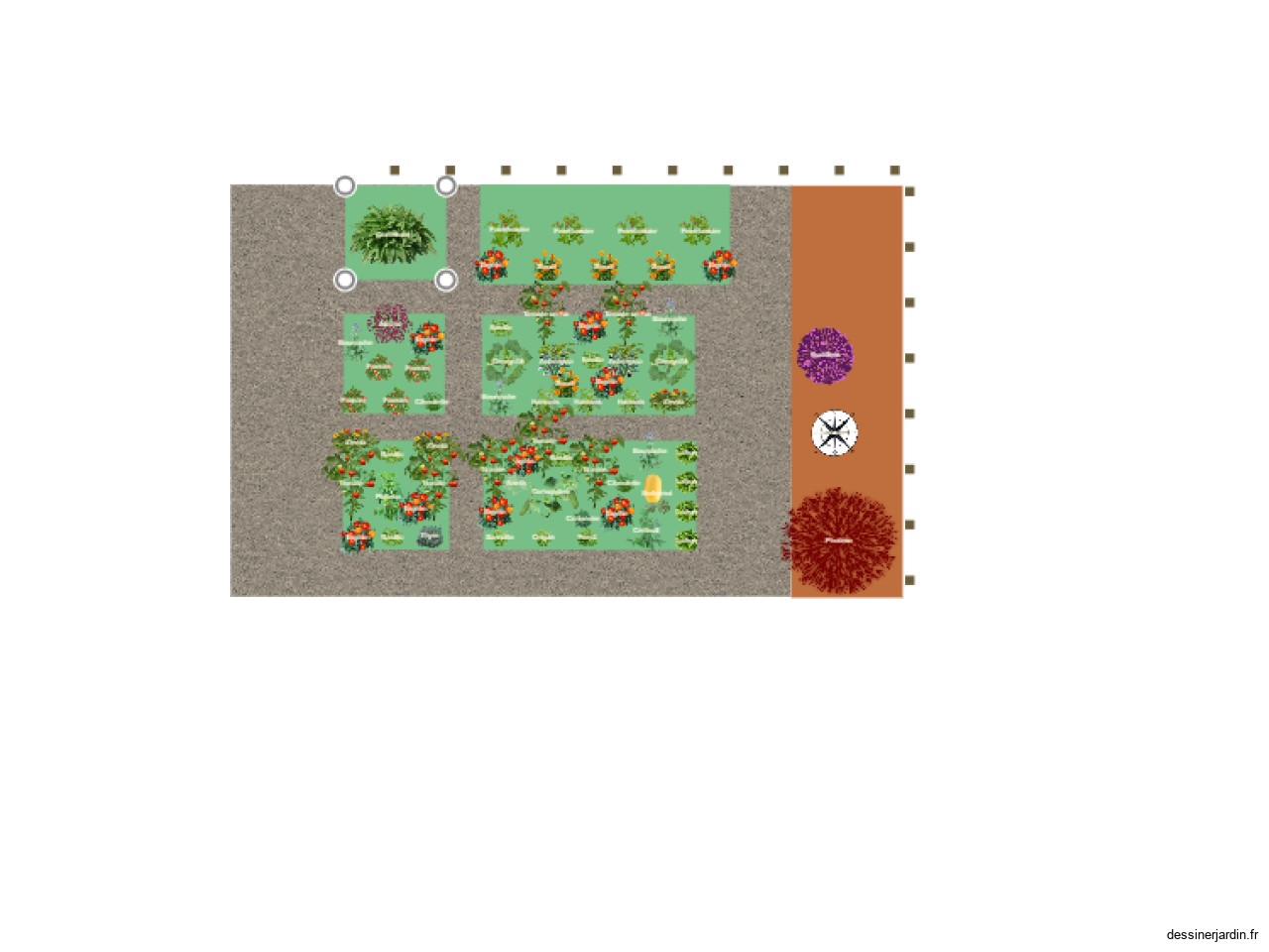 Mon potager 2023