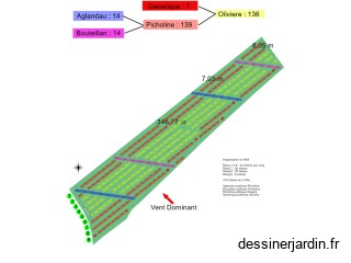 Oliveraie_Diversification