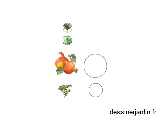 legume fruit 4