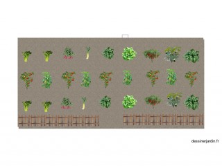 mon potager 