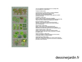 Plan de potager sur 10 mètres carré
