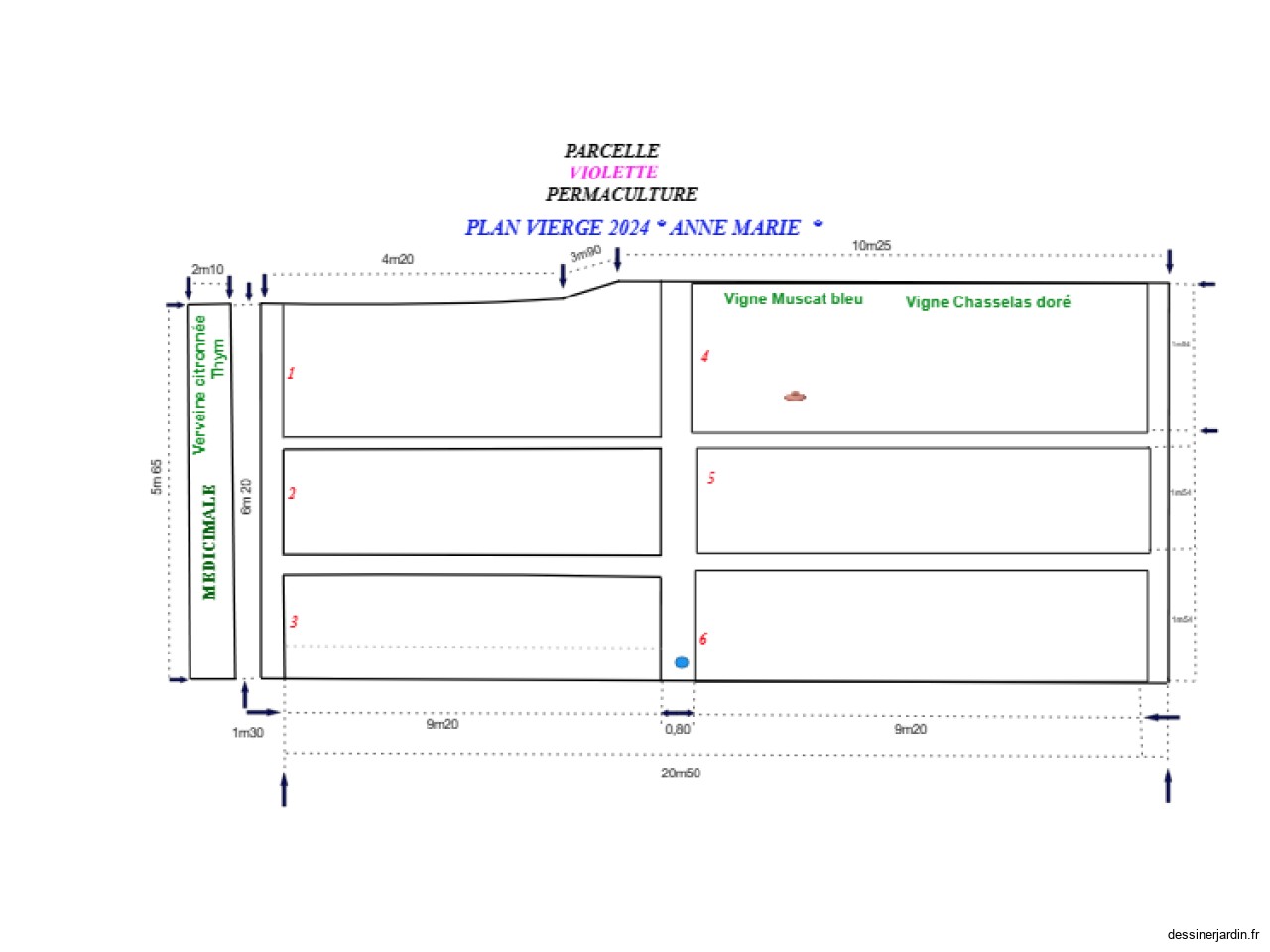 PLAN VIERGE  - PERMACULTURE  2024  * ANNE MARIE * 