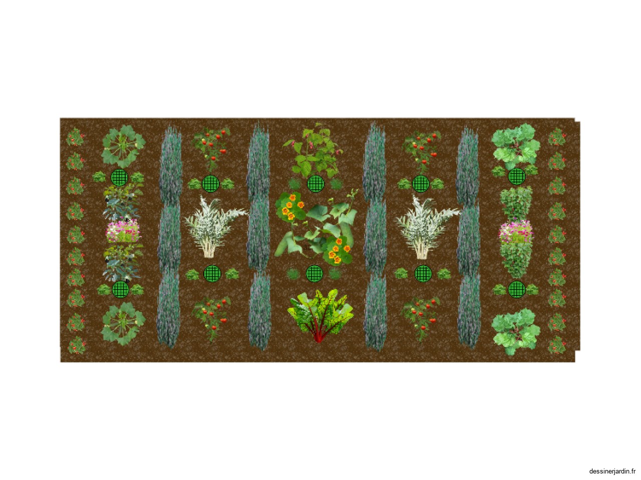 Plan potager