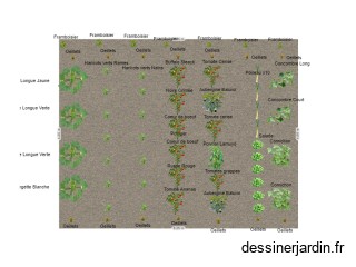 Potager 30m²