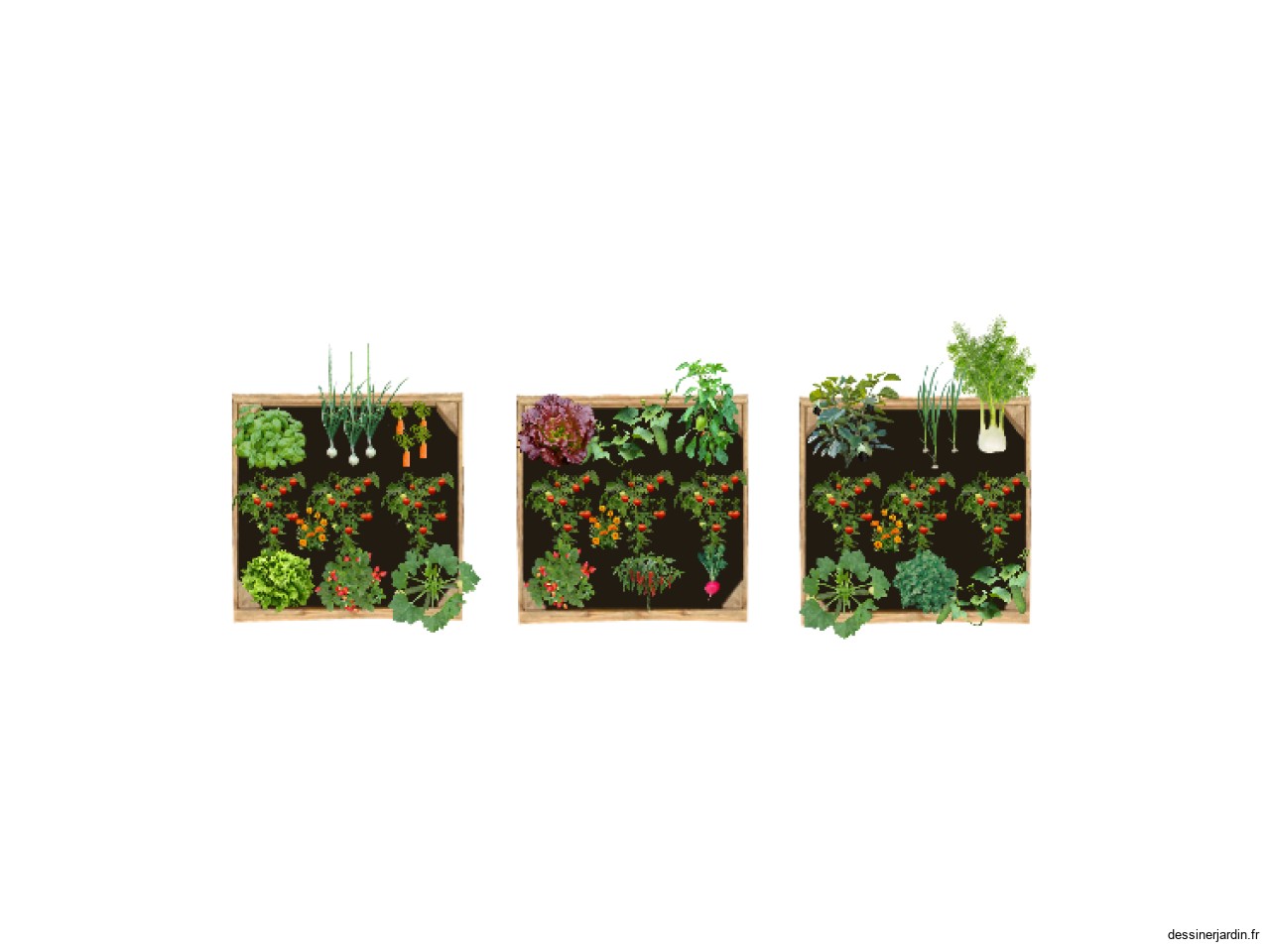 carré potager 1