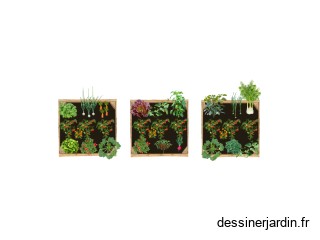 carré potager 1