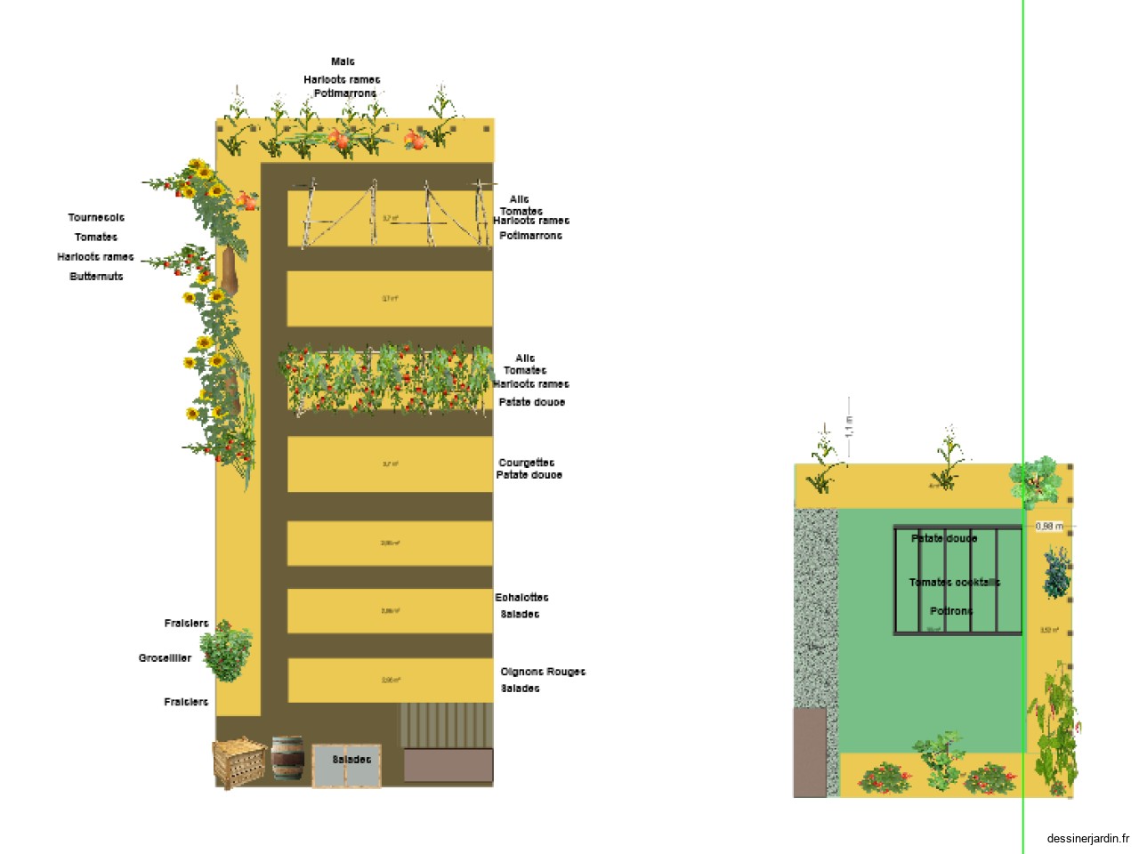 Potager 2024