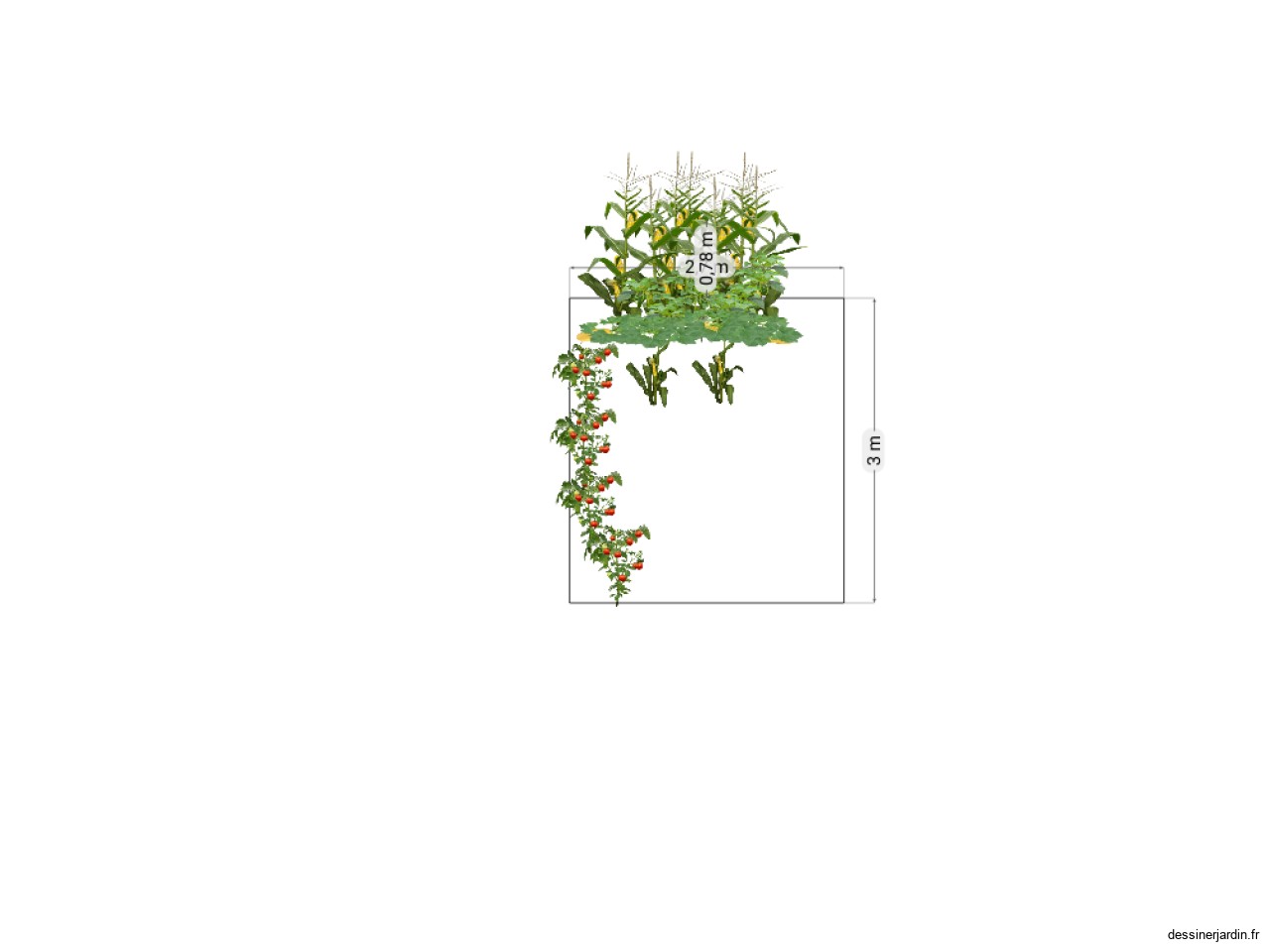 jardin1