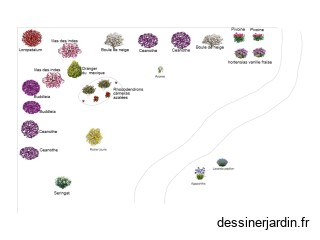 plan des arbustes